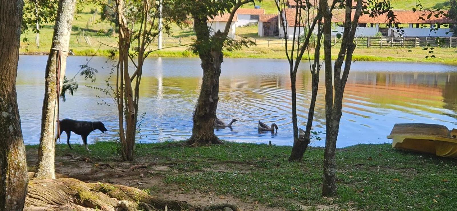 Hospedagem Fazenda Nova America Brotas Exterior foto